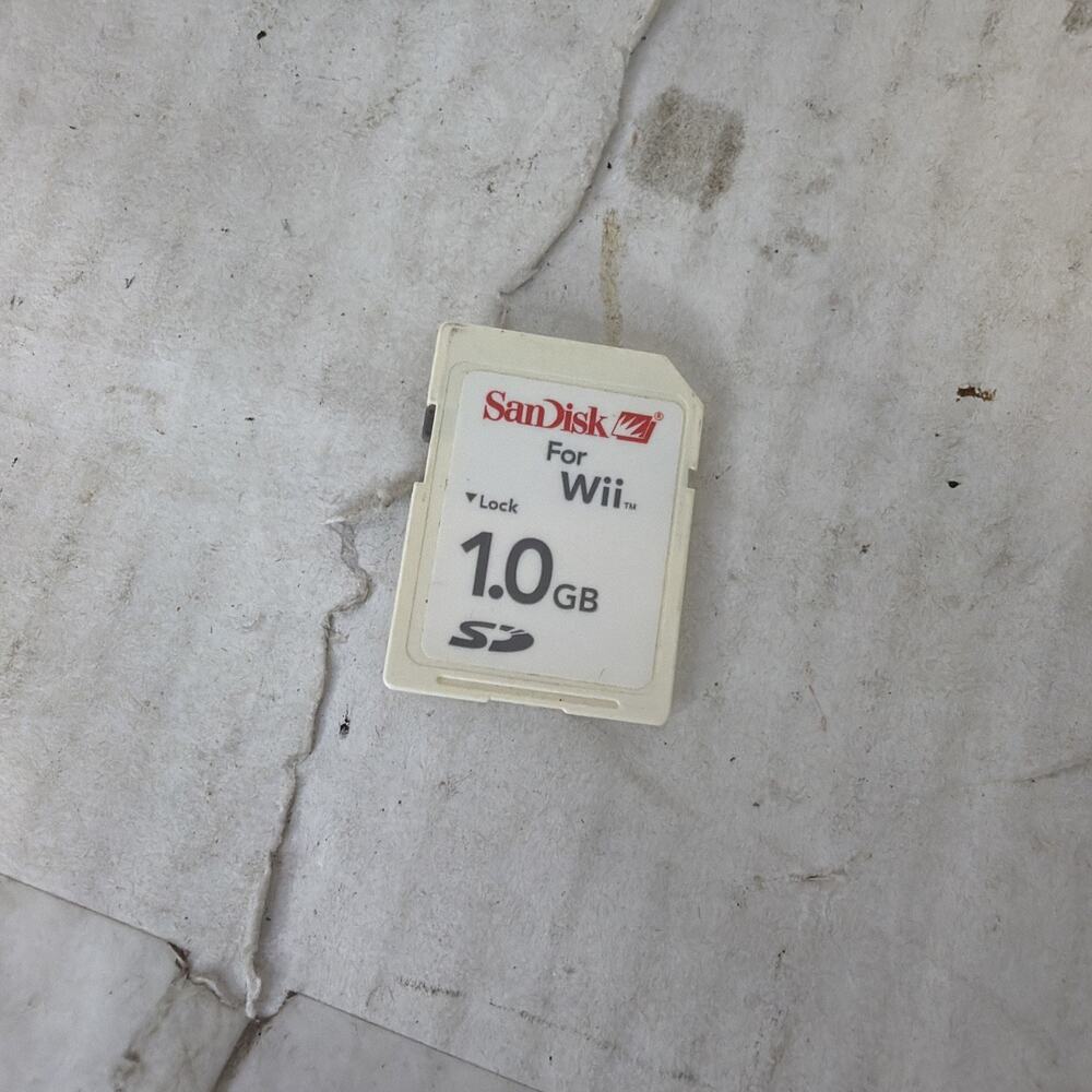 SanDisk 1.0 GB Memory SD Card for Nintendo Wii